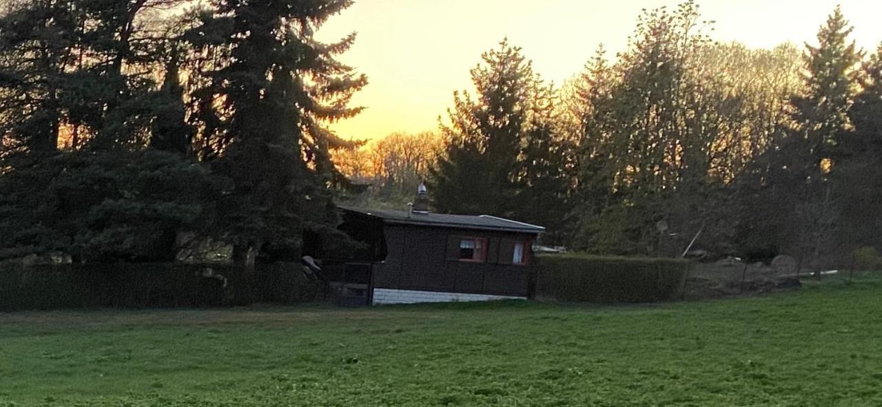 Villa Ferienhaus Zittertal Neustadt Harz Haus I à Harztor Extérieur photo